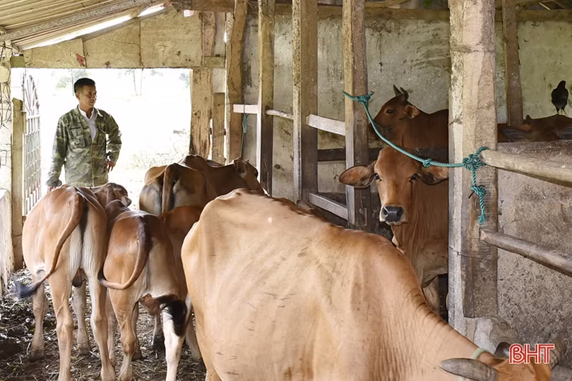 Hà Tĩnh thực hiện hiệu quả chính sách ưu đãi, giúp người có công vươn lên trong cuộc sống