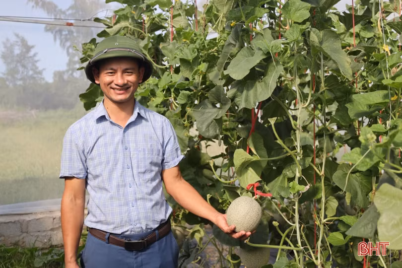 Giám đốc hợp tác xã ven đô tiên phong làm giàu từ dưa lưới