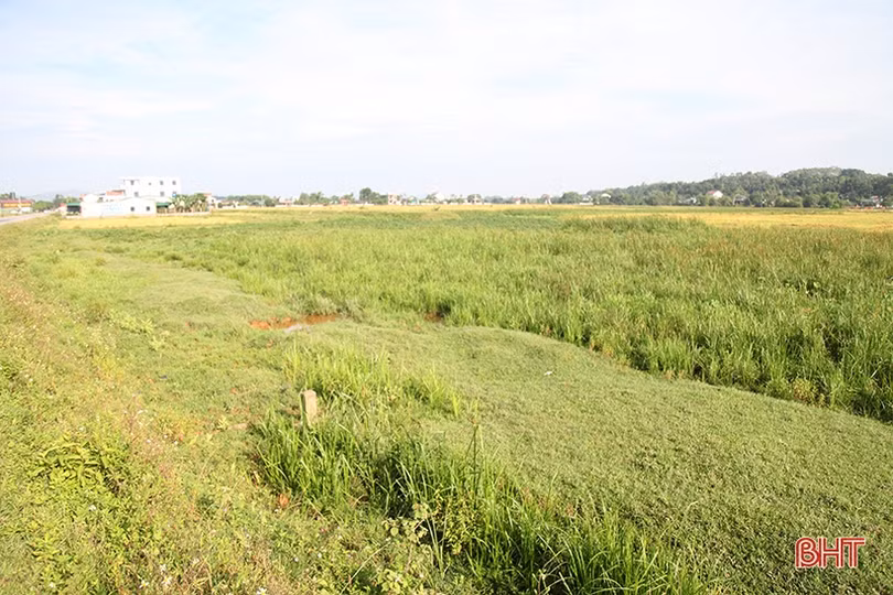 Vì sao phải điều chỉnh 3,15 km mốc thực địa GPMB cao tốc Bắc - Nam đoạn qua Thạch Hà?