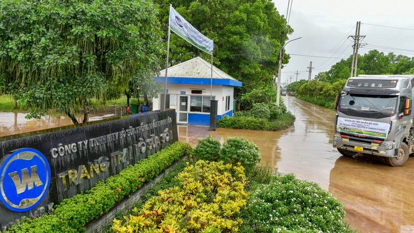 Vinamilk tiếp nhận thành công 1.550 bò sữa nhập từ Mỹ về các trang trại Green Farm