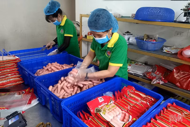 Hà Tĩnh đăng ký 22 sản phẩm bình chọn sản phẩm công nghiệp nông thôn tiêu biểu cấp khu vực năm 2022