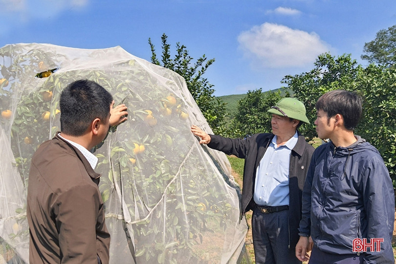 Nông thôn Kỳ Anh “khoác áo mới” đón mừng năm 2021