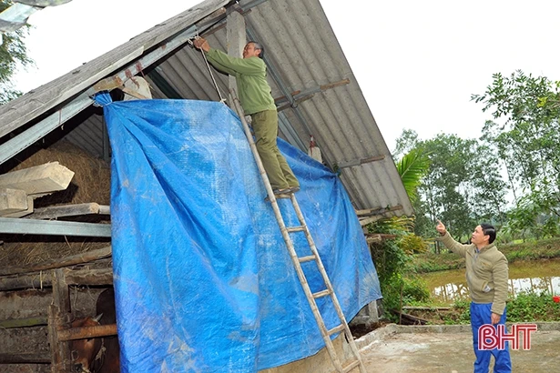 Nhiệt độ xuống 10 độ C, nông dân vùng cao Hà Tĩnh lo giữ ấm cho đàn vật nuôi