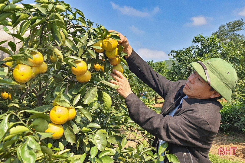 Nông thôn Kỳ Anh “khoác áo mới” đón mừng năm 2021