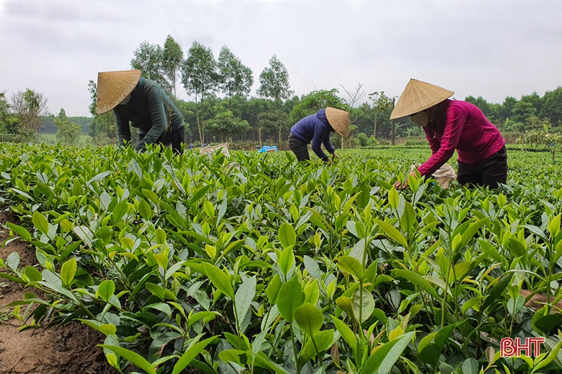 Nông thôn Kỳ Anh “khoác áo mới” đón mừng năm 2021