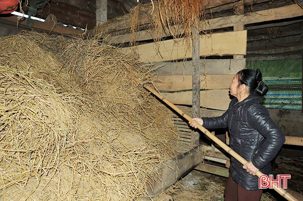 Nhiệt độ xuống 10 độ C, nông dân vùng cao Hà Tĩnh lo giữ ấm cho đàn vật nuôi