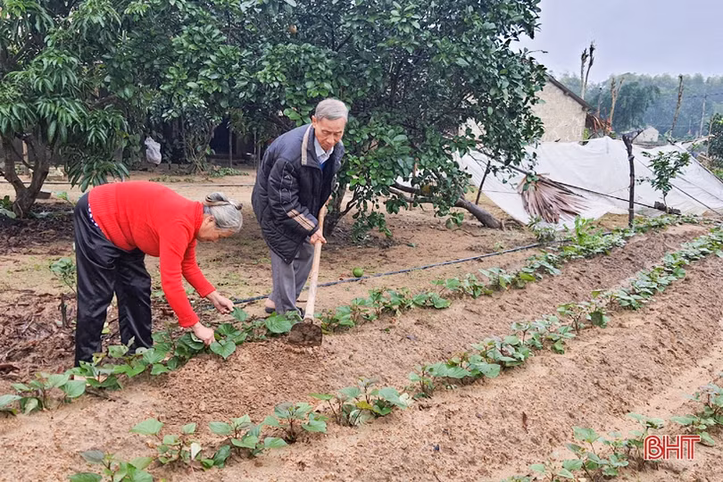 Hạnh phúc của người đảng viên trên hành trình hơn nửa thế kỷ theo Đảng