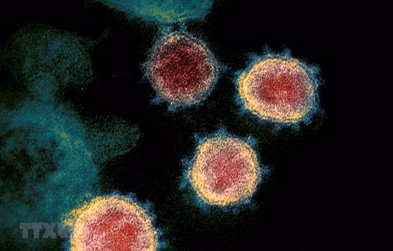 Nga giải mã thành công đầy đủ bộ gene của virus SARS-CoV-2