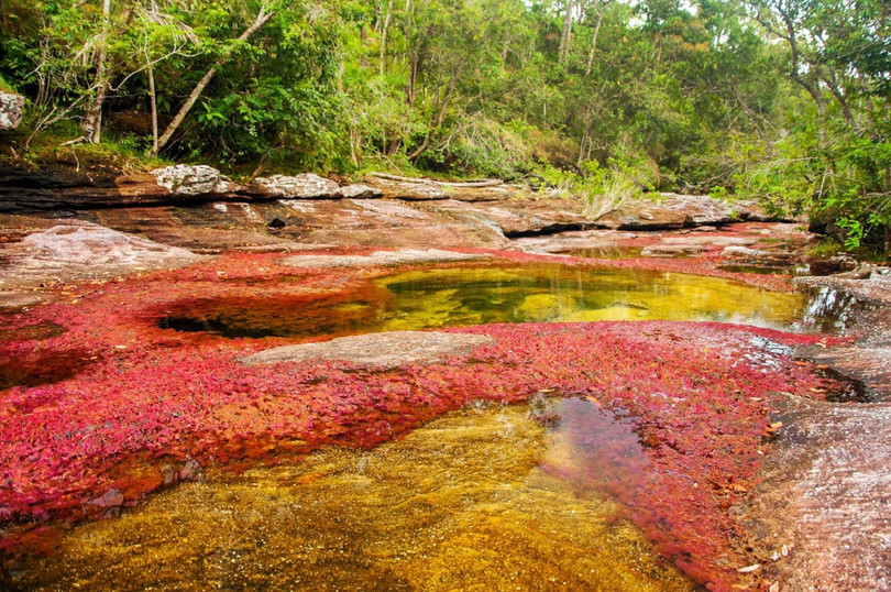 Sông Cano Cristales, Colombia: Sông Cano Cristales, còn có tên gọi là Dòng sông 5 màu, nằm trong công viên Quốc gia Serrania de la Macarena. Dòng sông khoác trên mình chiếc áo sặc sỡ sắc màu và có làn nước trong suốt như pha lê. Màu sắc rực rỡ mà du khách nhìn thấy thực chất là loài tảo bám trên các phiến đá. Ảnh: Getty Images/iStockphoto. Những địa điểm rực rỡ sắc màu trên thế giới