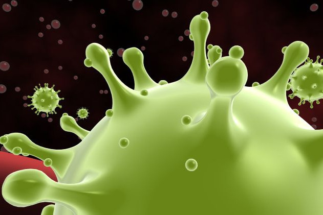 Các nhà khoa học đang chứng minh virus corona có thể “chết” vào mùa hè ảnh 1 Các nhà khoa học đang chứng minh virus corona có thể “chết” vào mùa hè