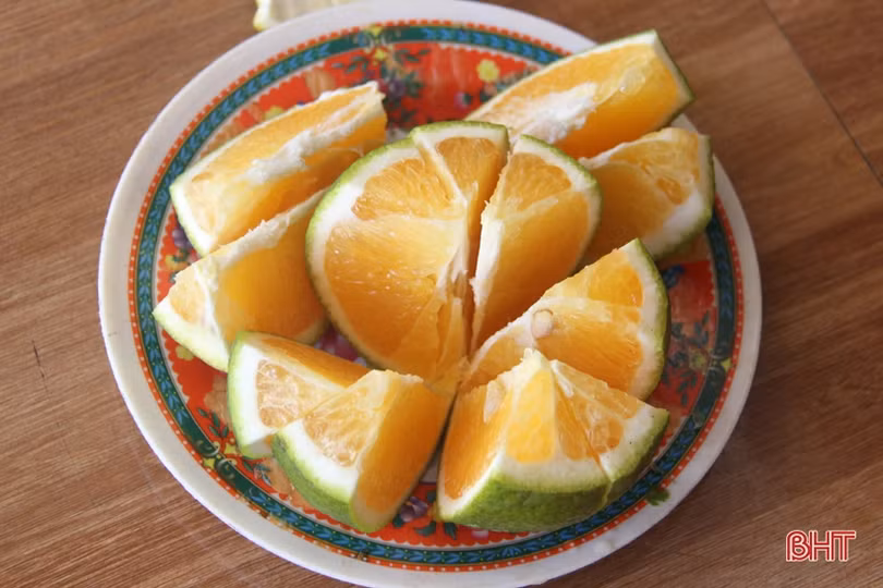 Ngắm vườn mẫu của những cụ ông Hà Tĩnh ở tuổi “xưa nay hiếm”