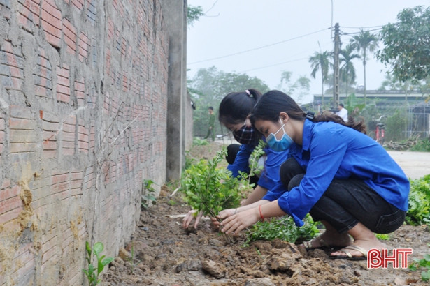 Tuổi trẻ Thành Sen chia nhóm nhỏ hoạt động tình nguyện ngày thứ 7