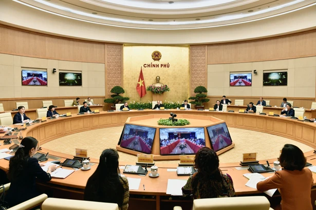 Nghiên cứu chính sách tích tụ ruộng đất, tháo gỡ khó khăn và đồng hành cùng doanh nghiệp