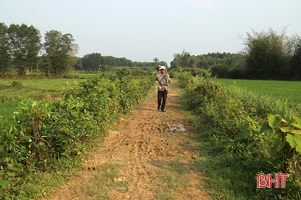 Hạ tầng giao thông xuống cấp “cản bước” Hương Khê xây dựng nông thôn mới