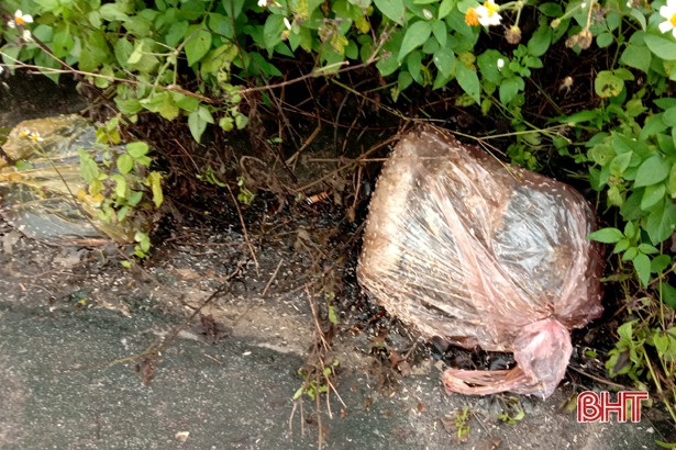 Rác bừa bãi trên đường vào trung tâm hành chính huyện Lộc Hà