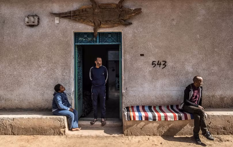 Nơi người dân thuần hóa cá sấu thành thú cưng