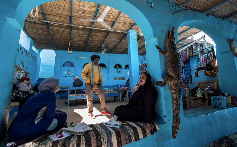 Nơi người dân thuần hóa cá sấu thành thú cưng