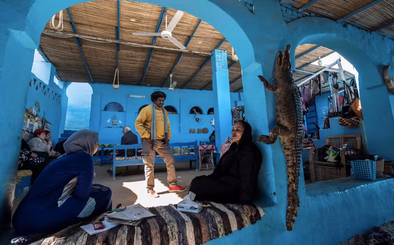 Nơi người dân thuần hóa cá sấu thành thú cưng