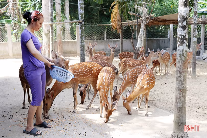 Sơn Bằng kế thừa truyền thống văn hóa xây dựng Đảng vững mạnh