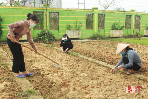 Giáo viên mầm non Hà Tĩnh trồng rau sạch biếu phụ huynh
