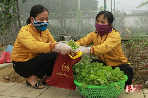 Giáo viên mầm non Hà Tĩnh trồng rau sạch biếu phụ huynh