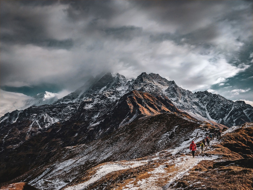 Ảnh phơi trà Việt Nam được vinh danh ở giải thưởng nhiếp ảnh quốc tế