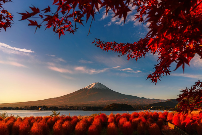 Ảnh phơi trà Việt Nam được vinh danh ở giải thưởng nhiếp ảnh quốc tế