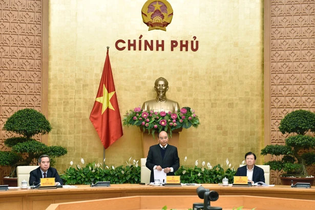 Nghiên cứu chính sách tích tụ ruộng đất, tháo gỡ khó khăn và đồng hành cùng doanh nghiệp