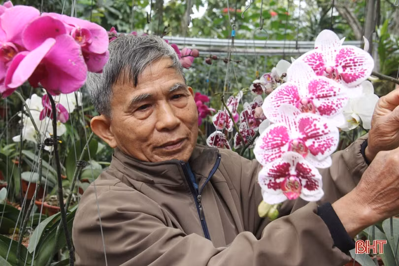 Ngắm vườn mẫu của những cụ ông Hà Tĩnh ở tuổi “xưa nay hiếm”