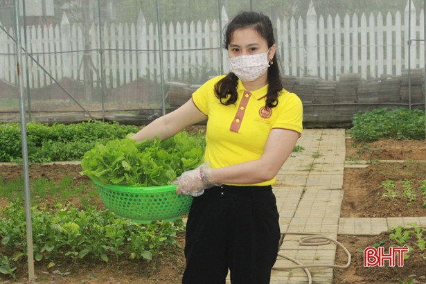 Giáo viên mầm non Hà Tĩnh trồng rau sạch biếu phụ huynh