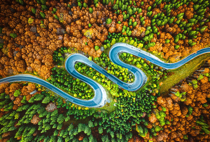 Ảnh phơi trà Việt Nam được vinh danh ở giải thưởng nhiếp ảnh quốc tế