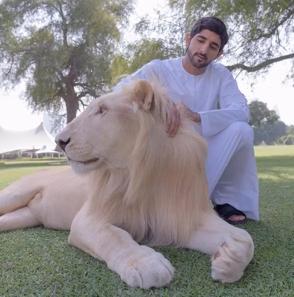 Cuộc sống vương giả của Hoàng gia Dubai