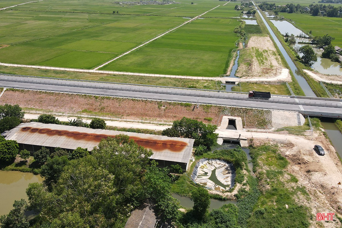 bqbht_br_trang-trai-lon-xa-thai.jpg