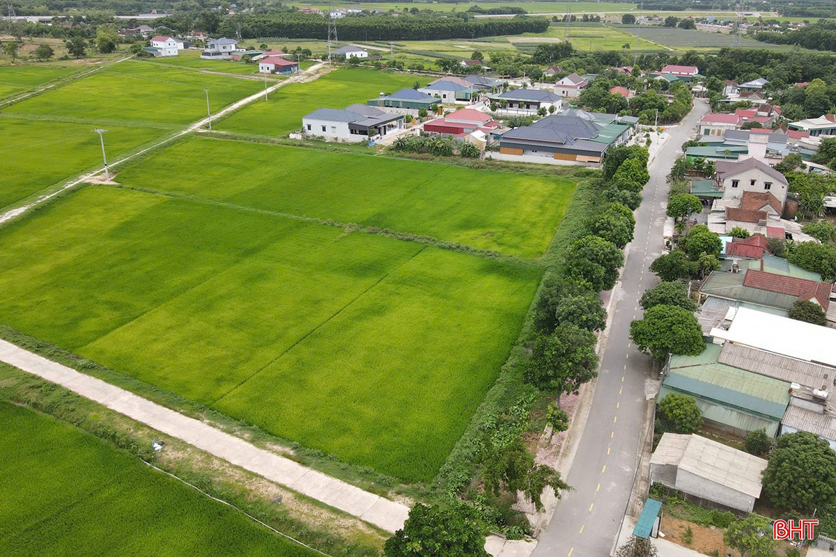 Khu đất ở thôn Lạc Thọ là 1 trong 4 vị trí mà xã Cẩm Lạc dự kiến quy hoạch xây dựng khu tái định cư dự án đường sắt tốc độ cao trên trục Bắc – Nam bqbht_br_tai-dinh-cu-duong-sat.jpg