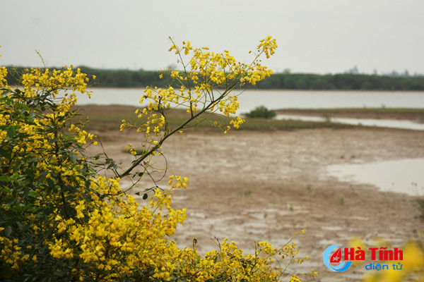 dep me hon hoa gieng gieng ruc vang trien de ha tinh