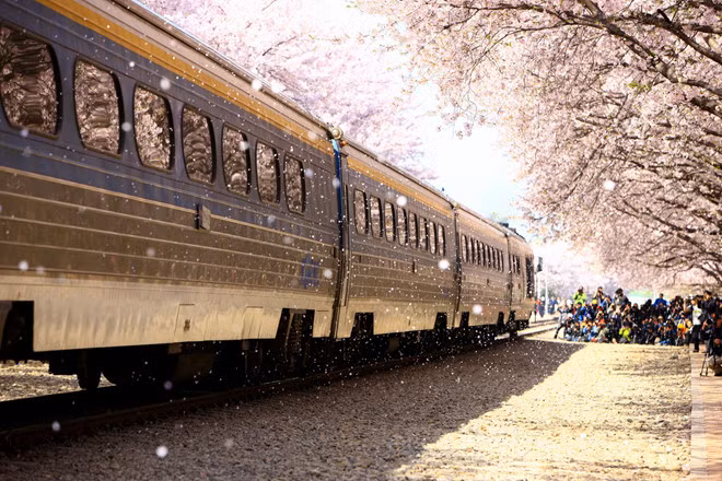 han quoc dep nao long khi buoc vao mua hoa