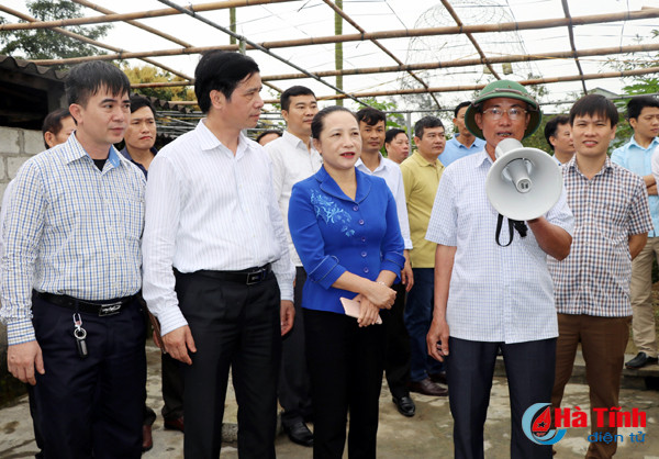 ha tinh chia se kinh nghiem xay dung ntm voi huyen phuc tho