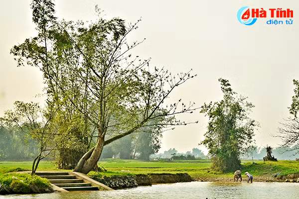 menh mang nhung ben song