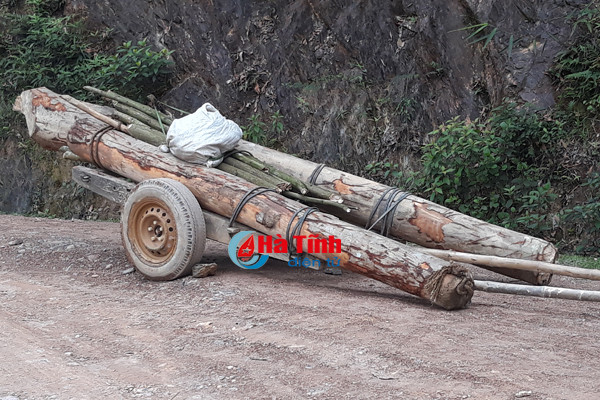 video go lau nghenh ngang tren duong luc luong chuc nang vang bong