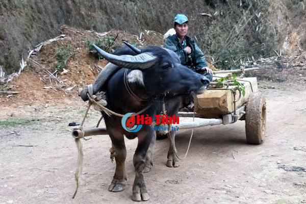 video go lau nghenh ngang tren duong luc luong chuc nang vang bong
