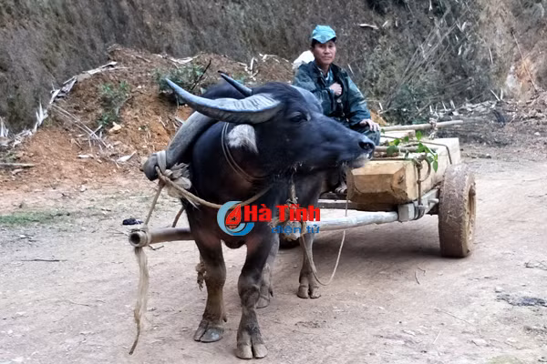 video go lau nghenh ngang tren duong luc luong chuc nang vang bong