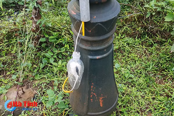 duong day dien tu dau noi cua nha chua uy hiep du khach