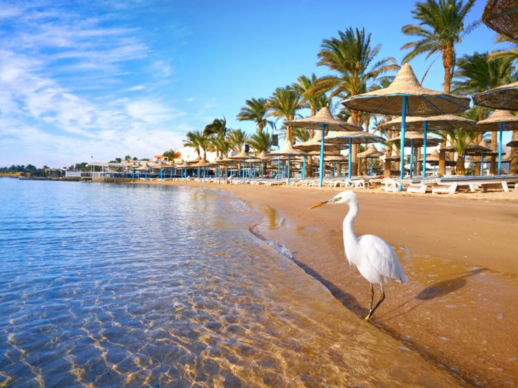 ha noi xep thu 12 trong top 25 diem den tot nhat the gioi 2018