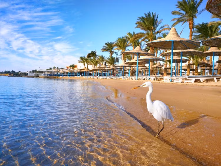 ha noi xep thu 12 trong top 25 diem den tot nhat the gioi 2018