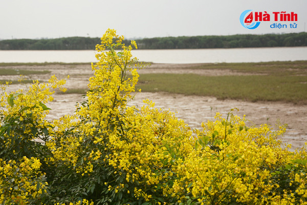 dep me hon hoa gieng gieng ruc vang trien de ha tinh