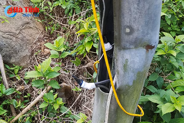 duong day dien tu dau noi cua nha chua uy hiep du khach