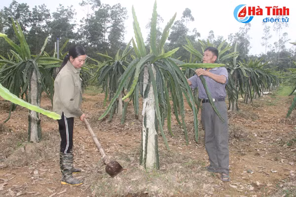 chung tich hao hung tren doi con cong