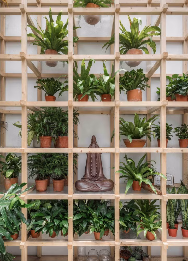 tap chi my archdaily an tuong voi kien truc doc dao cua quan ca phe viet