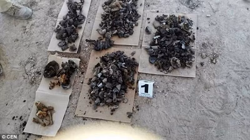 mafia mexico va man phi tang hang nghin xac nan nhan bang axit