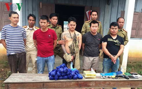 bat giu vu van chuyen hon 50 600 vien ma tuy tong hop